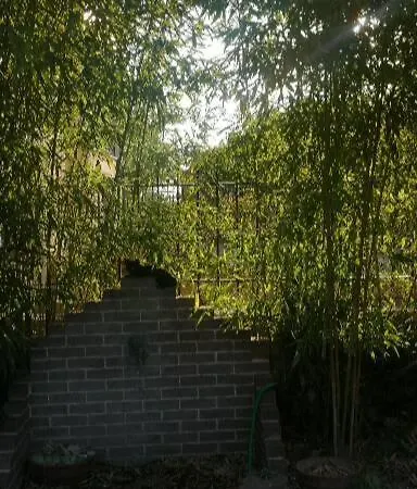 Ferienhaus Bamboo Gardens