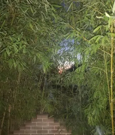Bamboo Gardens Nea Iraklia