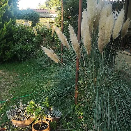 Nyaraló Bamboo Gardens