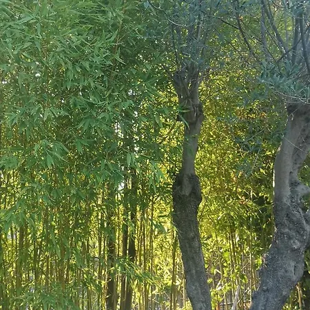 Bamboo Gardens Ferienhaus Nea Iraklia