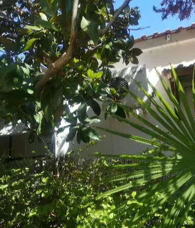 Bamboo Gardens Ferienhaus